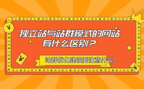 seo资源