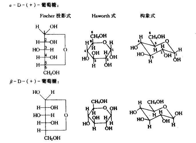 藤当归价格