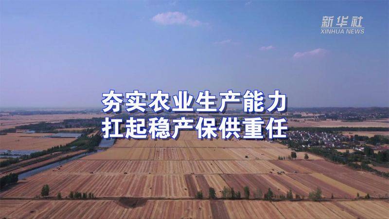 山东秋土豆种植技术
