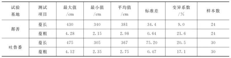 葡萄的种植方法和技术视频教程
