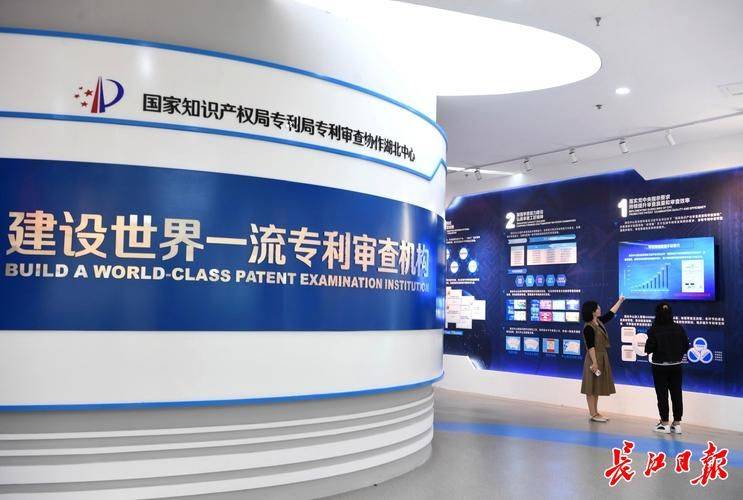 知识产权调查表