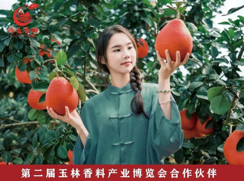 金花茶种植方法