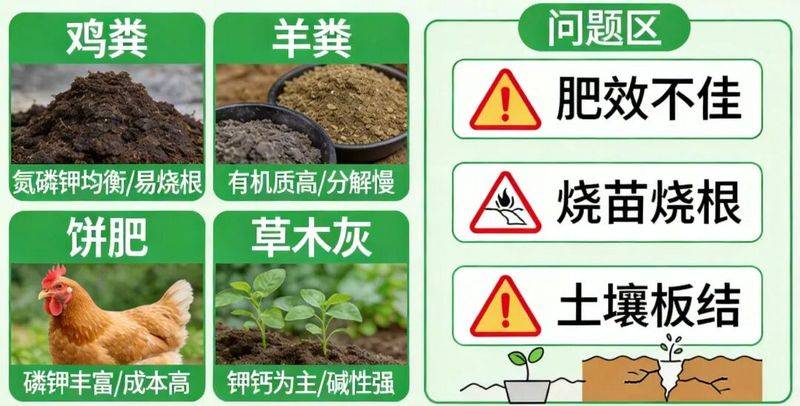 种植蔬菜用什么水肥好