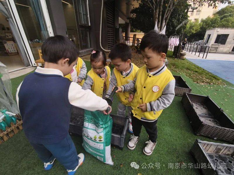大班种植蔬菜观察记录
