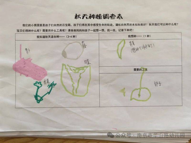 大班种植蔬菜观察记录