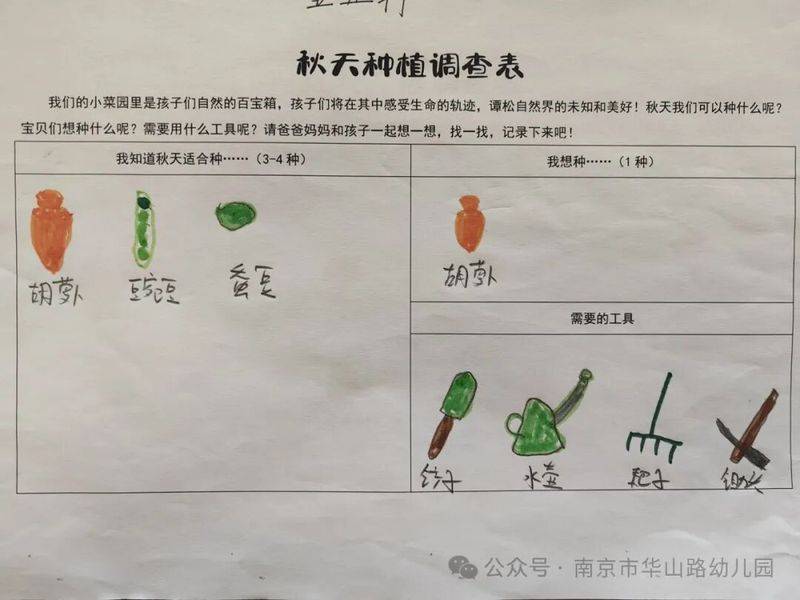 大班种植蔬菜观察记录
