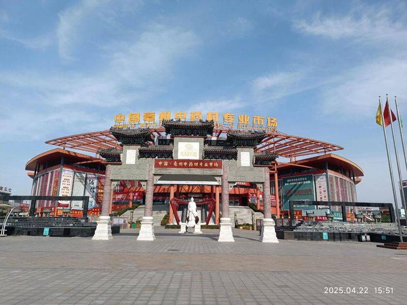 中药苍术价钱