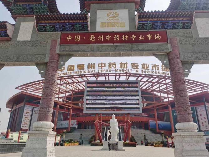 中药苍术价钱
