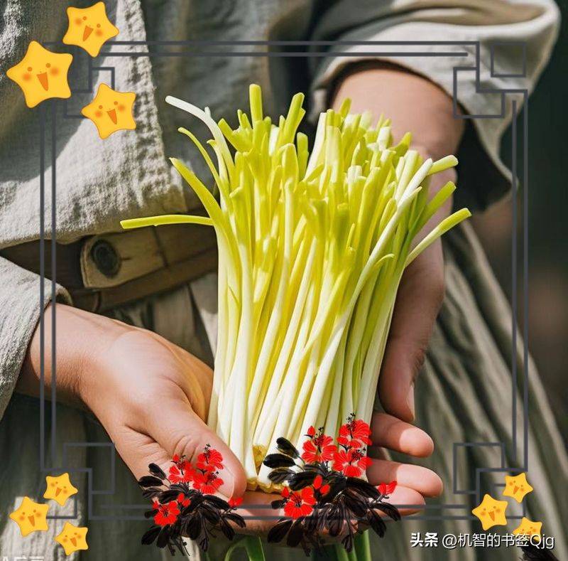 塑料大棚种植技术