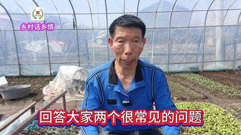 种植蔬菜用什么水肥好