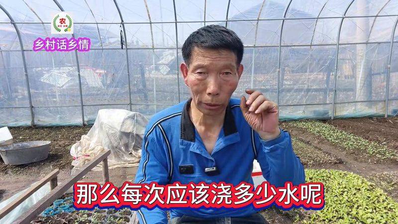 种植蔬菜用什么水肥好