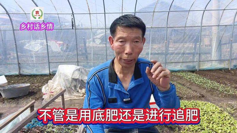种植蔬菜用什么水肥好