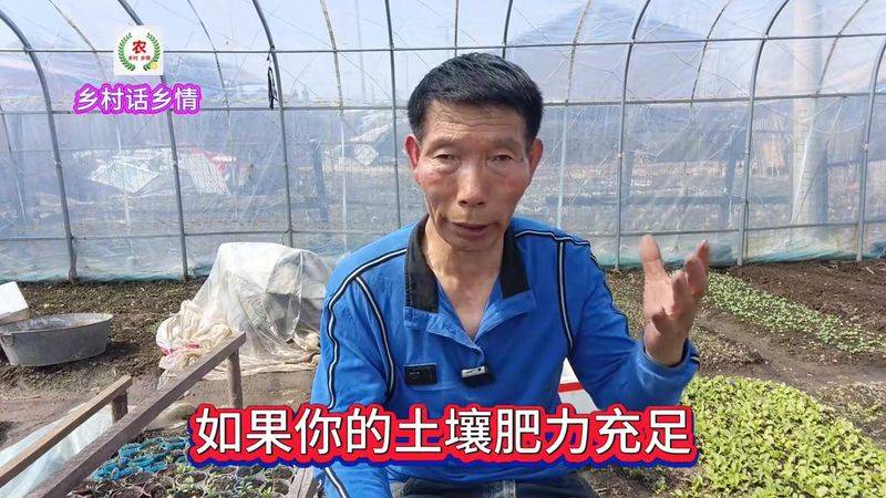 种植蔬菜用什么水肥好