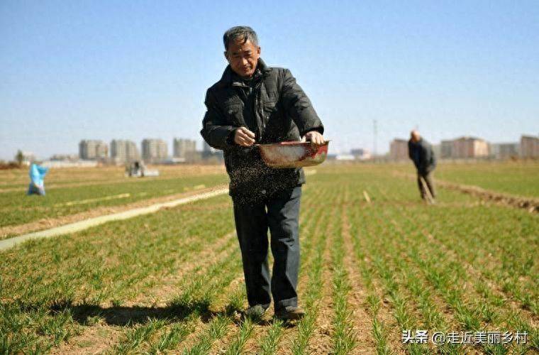 种植蔬菜用什么水肥好