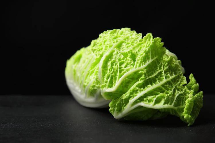 白菜种植技术