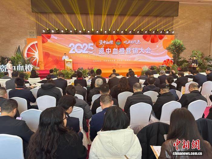 海内外客商汇聚四川内江 资中血橙现场签约出口订单2.4万吨