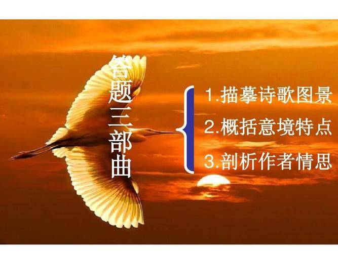 高中语文诗歌鉴赏常用术语