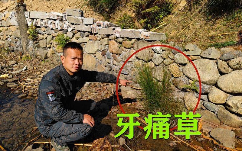 牙疼的治疗方法