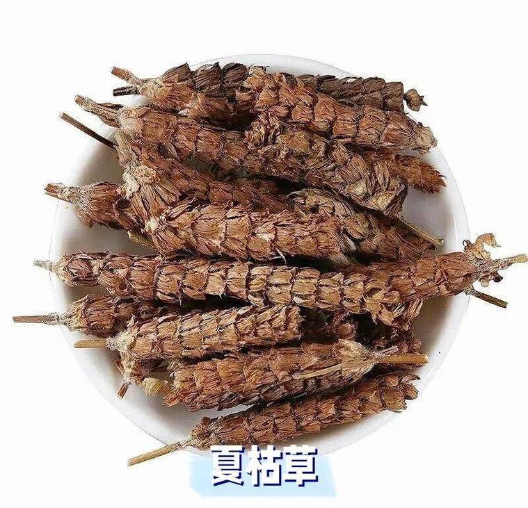 重楼人工种植技术