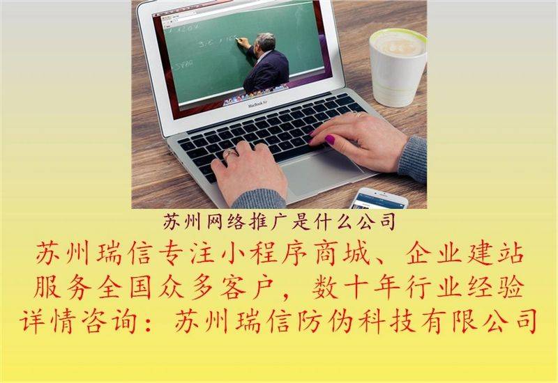 苏州的seo服务公司
