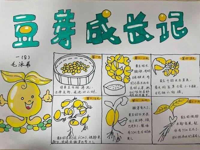 大班种植蔬菜观察记录