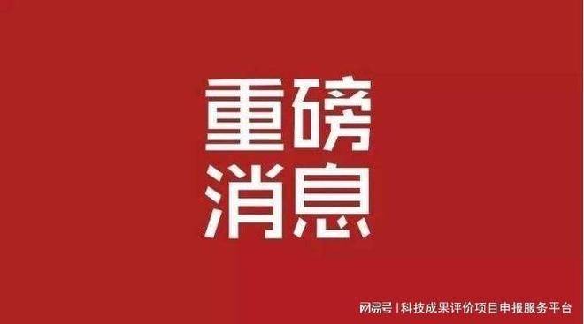 Customs intellectual property protection
