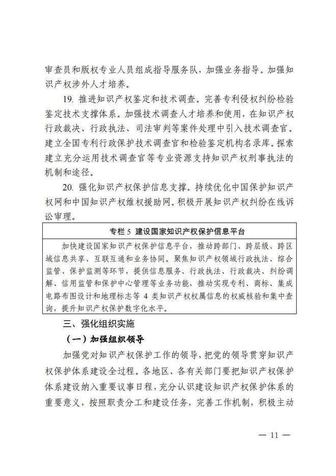 Customs intellectual property protection