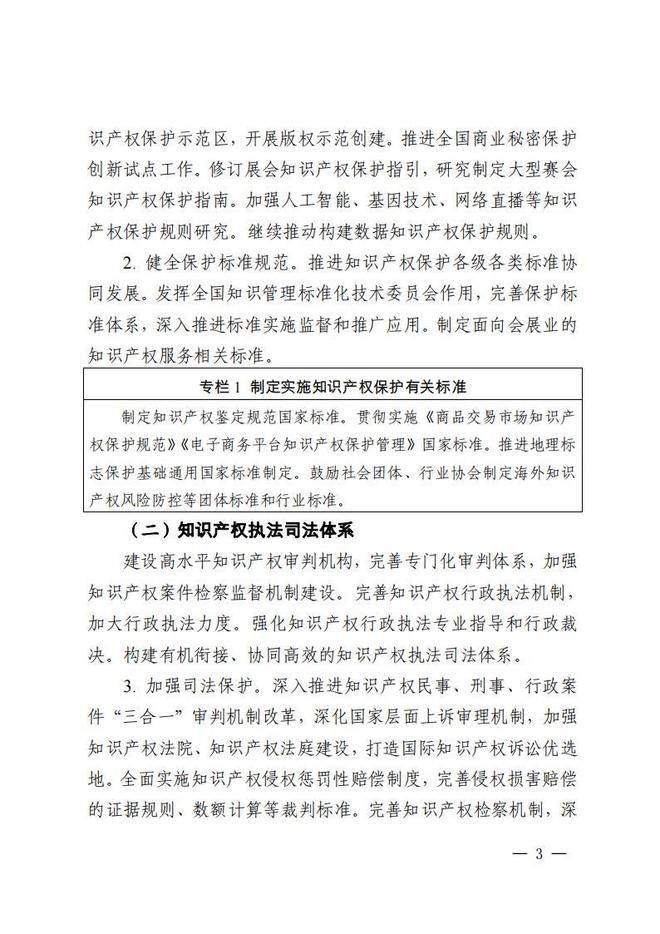 Customs intellectual property protection