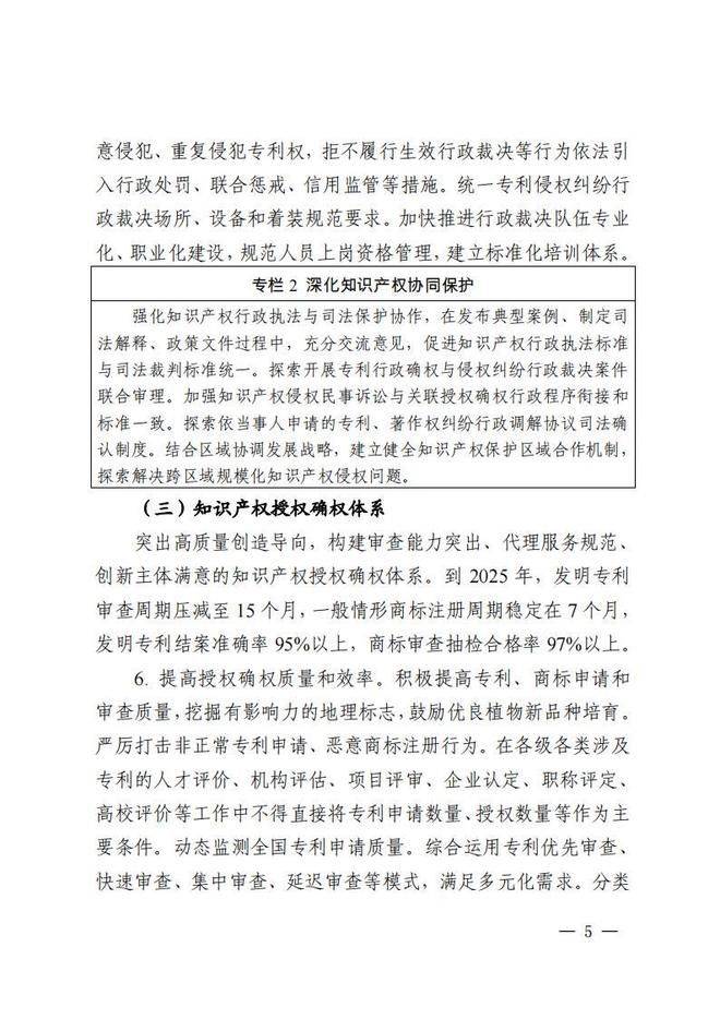 Customs intellectual property protection