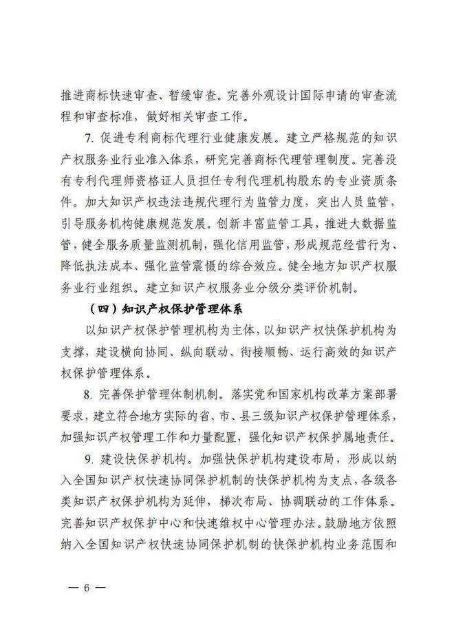 Customs intellectual property protection