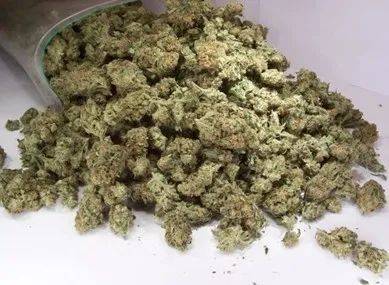 罂粟种植时间和方法