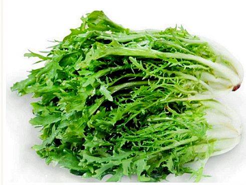 罂粟种植时间和方法