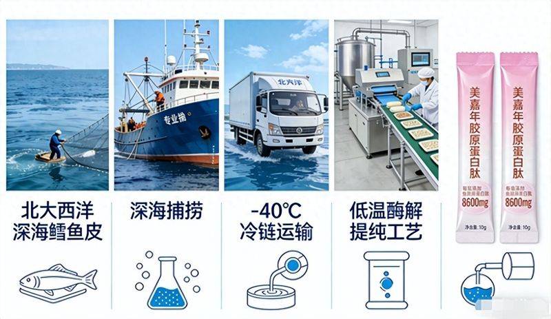 海洋鱼胶原蛋白肽价钱