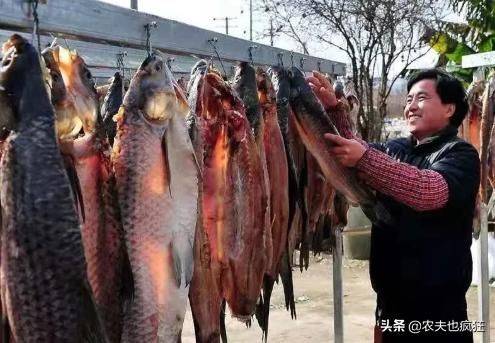 四大家鱼养殖成本