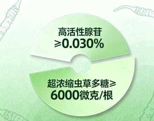 Artificial winter worm summer grass cultivation techniques