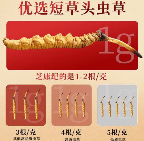 Artificial winter worm summer grass cultivation techniques