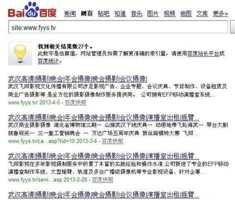 seo诊断范文