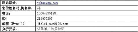 seo诊断范文