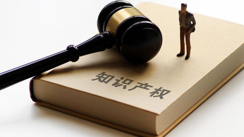 知识产权监管机制