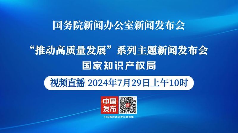 知识产权监管机制