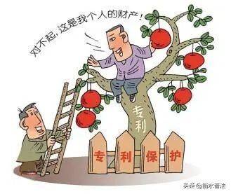 知识产权原理