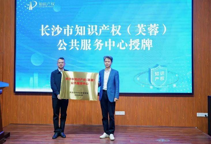 知识产权监管机制