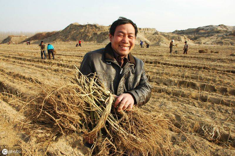 Technical aspects of sauna cultivation