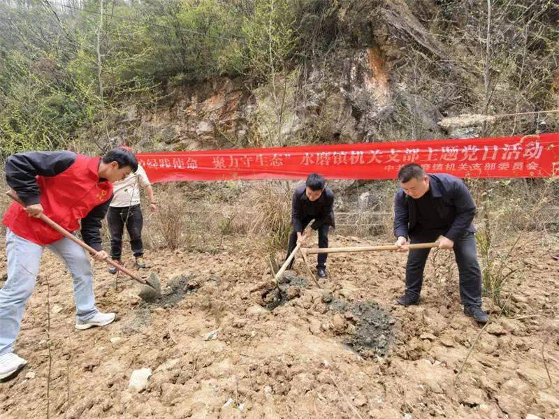 The method of cultivation of ooze