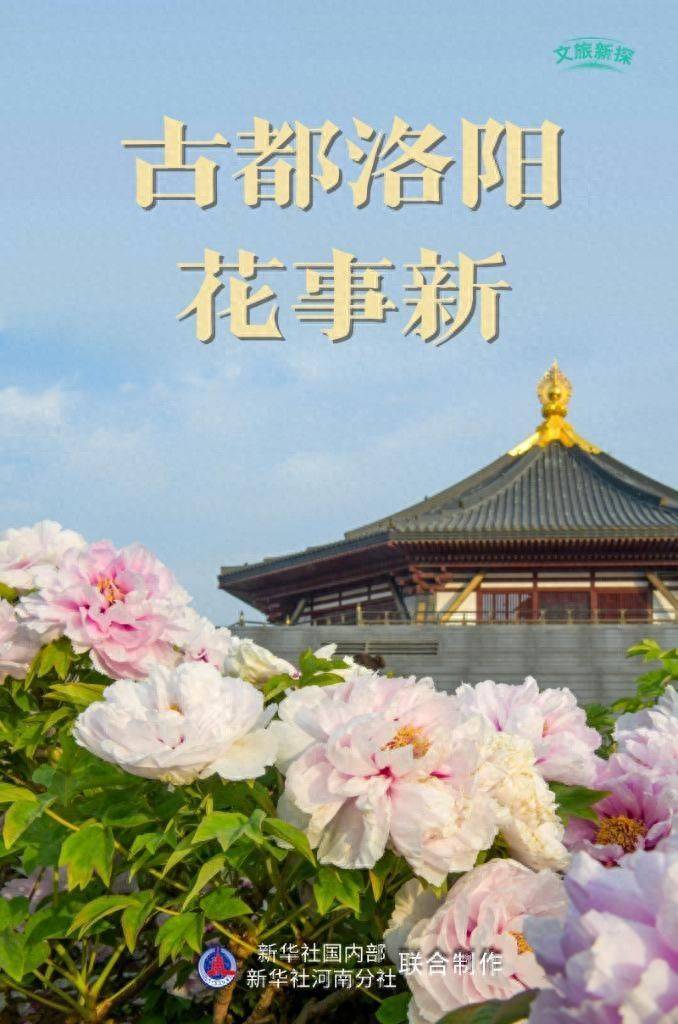 油牡丹栽种植方法