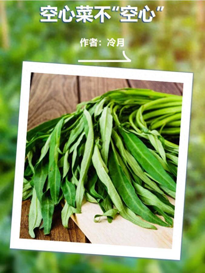 水空心菜的种植方法