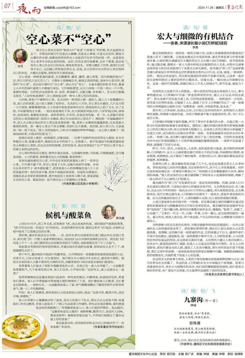 水空心菜的种植方法