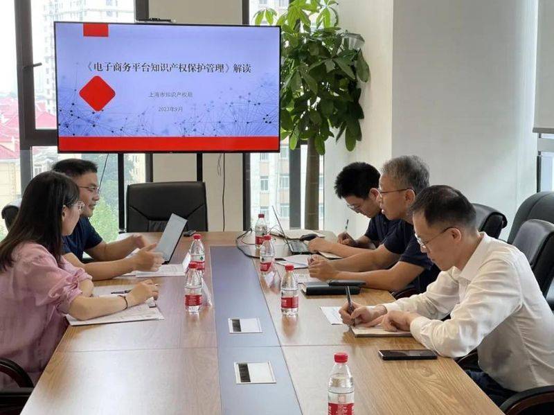 知识产权监管机制