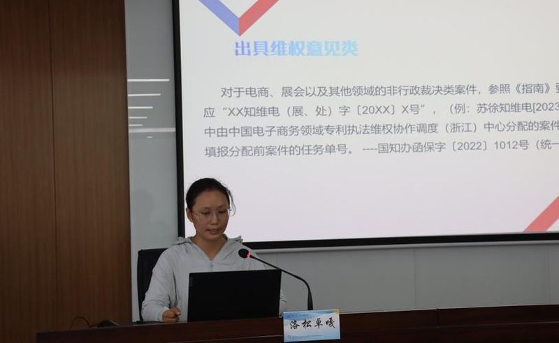 知识产权监管机制