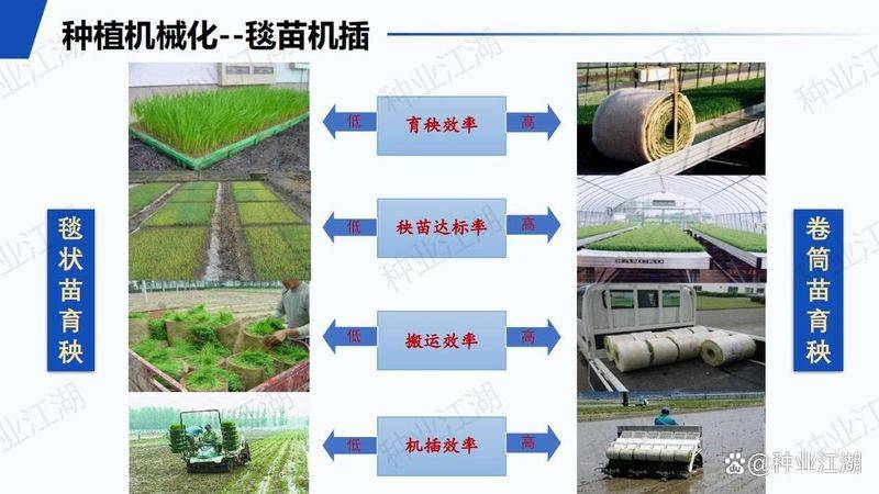 最新水稻种植技术